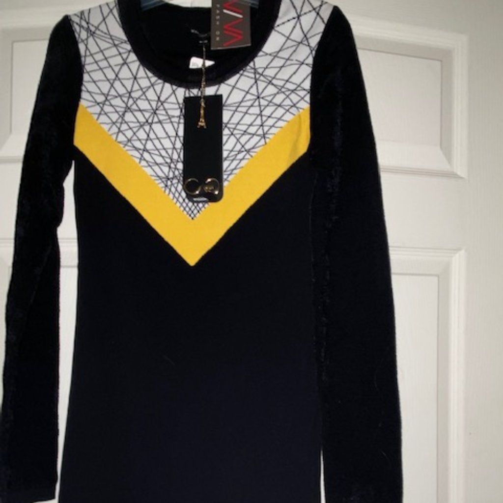 Brand New Paris Waggon Dress